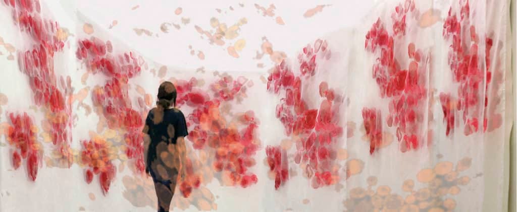 Michal Gavish, "Hidden Features (Protein Microscopy)" (2019)