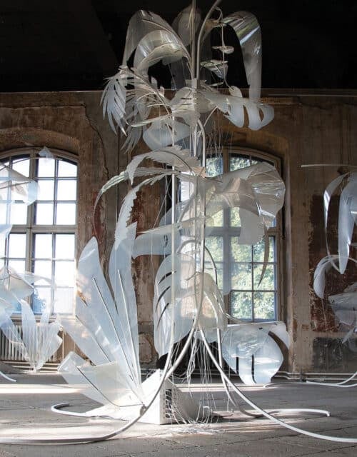 Thijs Biersteker, "Wither," 2021, in collaboration with Unesco at Staatliche Kunstsammlungen Dresden. Image by the artist.