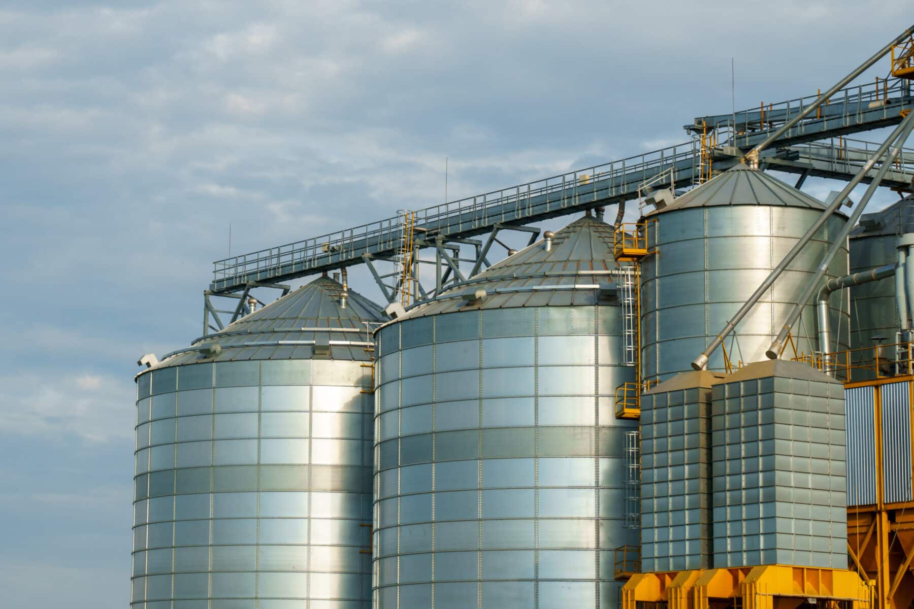 biorubber industry
