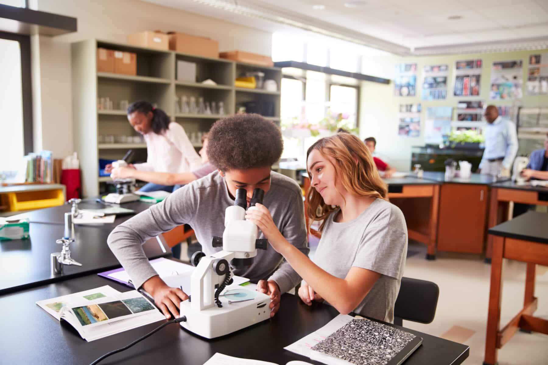 bioeconomy, labraries, and community biodesign